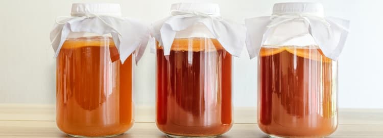 Things to Consider When Consuming Kombucha