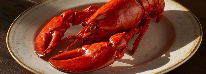 Why Do Lobsters Change Color When Cooked?