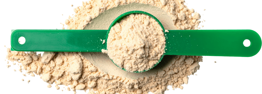 Protein Powders: Myths and Facts Explained