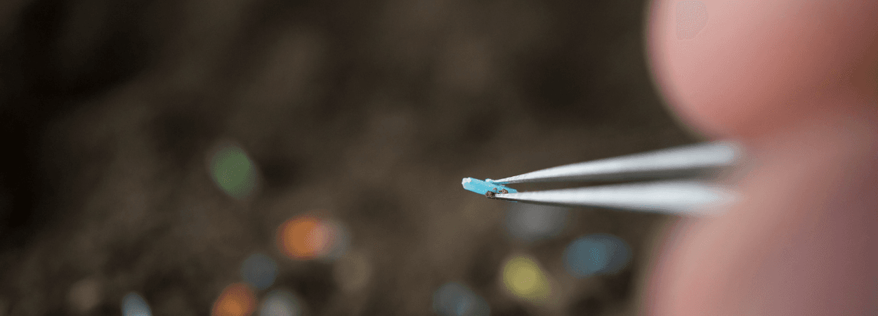 Microplastics in Food